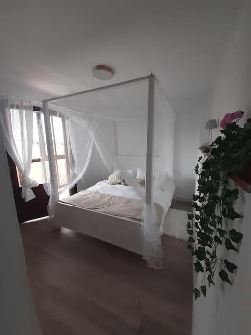 Casa Completa Loredo Beach 外观 照片